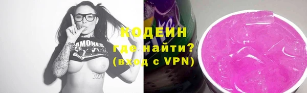 хмурый Сосновка
