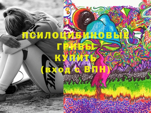 Альфа ПВП Строитель