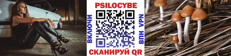 закладки  Нальчик  Псилоцибиновые грибы MAGIC MUSHROOMS 