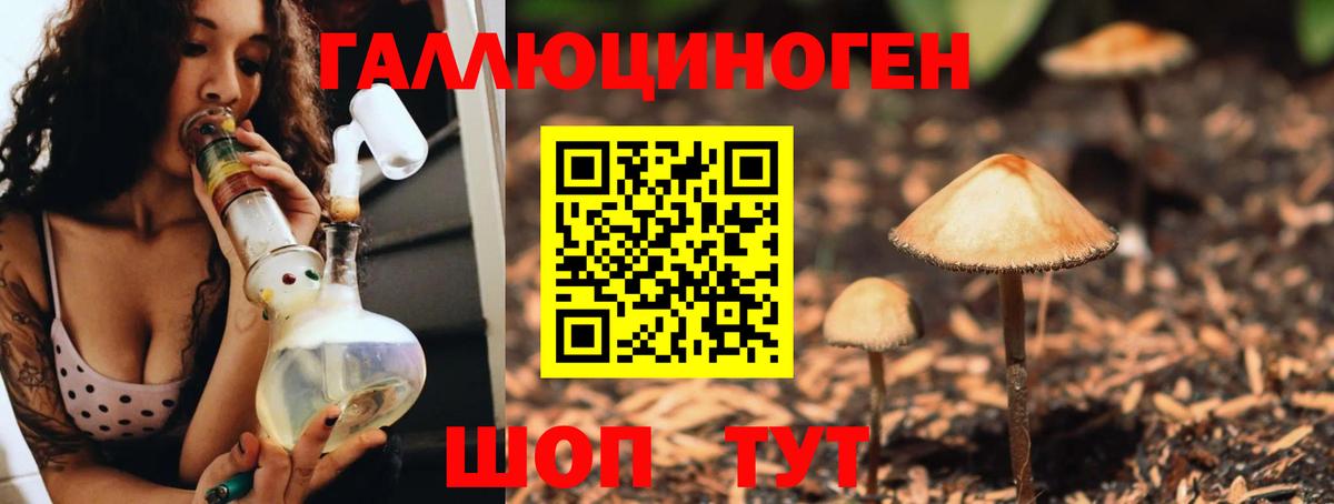 Псилоцибиновые грибы мухоморы  Вход с VPN  где купить наркоту  Нальчик 
